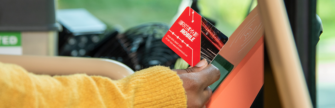 person holding a red rose transit go card
